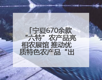 宁夏670余款“六特”农产品亮相农展馆 推动优质特色农产品“出宁进京”
