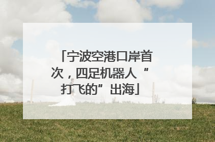 宁波空港口岸首次，四足机器人“打飞的”出海