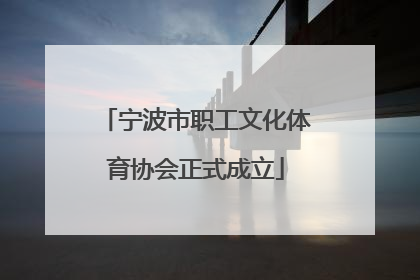 宁波市职工文化体育协会正式成立