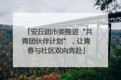 安丘团市委推进“共青团伙伴计划”，让青春与社区双向奔赴