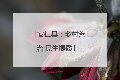 安仁县：乡村善治 民生提质