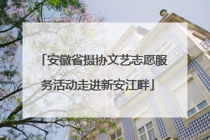 安徽省摄协文艺志愿服务活动走进新安江畔