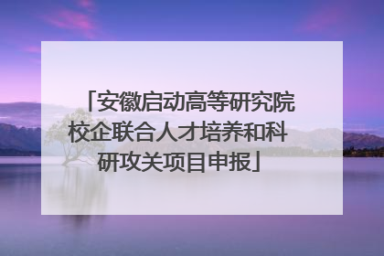 安徽启动高等研究院校企联合人才培养和科研攻关项目申报