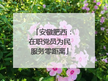 安徽肥西：在职党员为民服务零距离