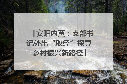 安阳内黄：支部书记外出“取经”探寻乡村振兴新路径