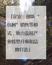 定安：创新“包树”销售等模式，助力荔枝产业转型升级和品牌打造