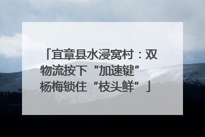 宜章县水浸窝村：双物流按下“加速键” 杨梅锁住“枝头鲜”