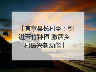 宜章县长村乡：引进玉竹种植 激活乡村振兴新动能