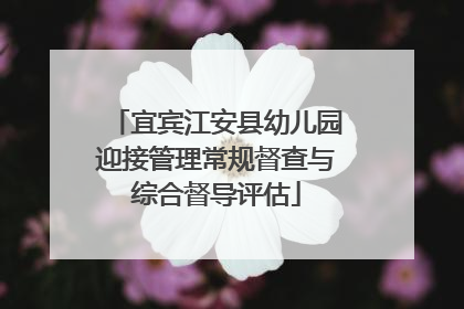 宜宾江安县幼儿园迎接管理常规督查与综合督导评估