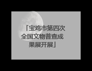 宝鸡市第四次全国文物普查成果展开展