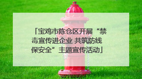 宝鸡市陈仓区开展“禁毒宣传进企业 共筑防线保安全”主题宣传活动