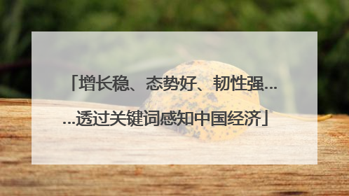 增长稳、态势好、韧性强……透过关键词感知中国经济