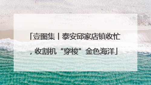 壹图集丨泰安邱家店镇收忙，收割机“穿梭”金色海洋