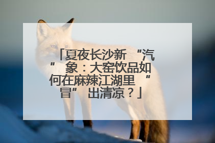 夏夜长沙新 “汽” 象：大窑饮品如何在麻辣江湖里 “冒” 出清凉？