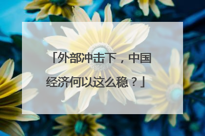 外部冲击下，中国经济何以这么稳？