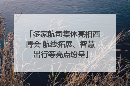 多家航司集体亮相西博会 航线拓展、智慧出行等亮点纷呈