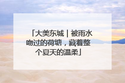 大美东城｜被雨水吻过的荷塘，藏着整个夏天的温柔