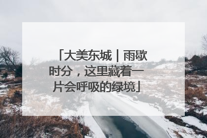 大美东城｜雨歇时分，这里藏着一片会呼吸的绿境