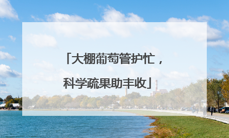 大棚葡萄管护忙，科学疏果助丰收