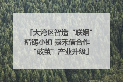 大湾区智造“联姻”精铸小镇 嘉禾借合作“破茧”产业升级