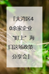 大湾区40余家企业“盯上”海口这场政策分享会