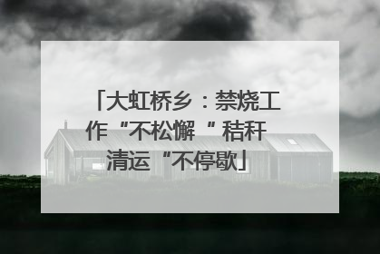 大虹桥乡：禁烧工作“不松懈“ 秸秆清运“不停歇