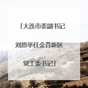 大连市委副书记刘恩举任金普新区党工委书记