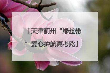 天津蓟州“绿丝带”爱心护航高考路