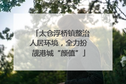 太仓浮桥镇整治人居环境，全力扮靓港城“颜值”