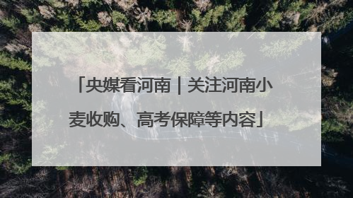 央媒看河南｜关注河南小麦收购、高考保障等内容