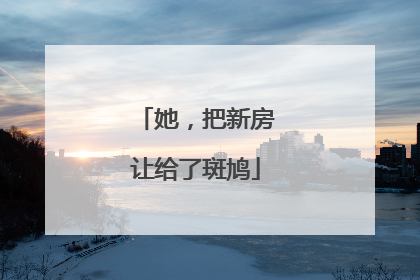 她，把新房让给了斑鸠