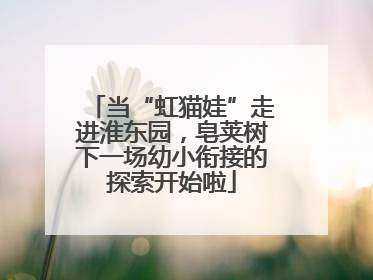 当“虹猫娃”走进淮东园，皂荚树下一场幼小衔接的探索开始啦