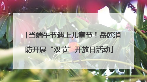 当端午节遇上儿童节！岳麓消防开展“双节”开放日活动