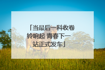 当最后一科收卷铃响起 青春下一站正式发车