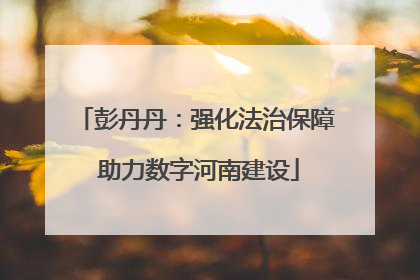 彭丹丹：强化法治保障 助力数字河南建设