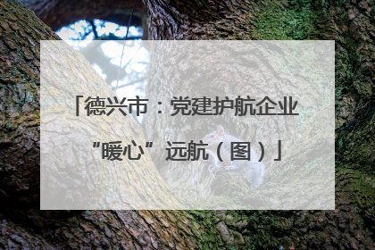 德兴市：党建护航企业“暖心”远航（图）