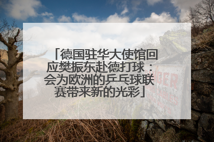 德国驻华大使馆回应樊振东赴德打球：会为欧洲的乒乓球联赛带来新的光彩