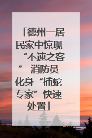 德州一居民家中惊现“不速之客” 消防员化身“捕蛇专家”快速处置