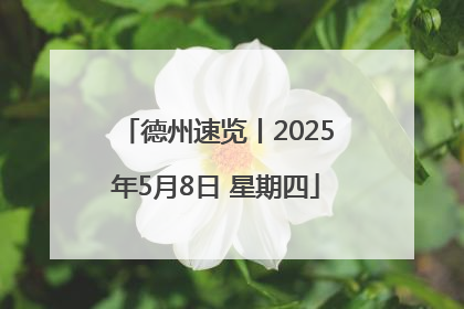 德州速览丨2025年5月8日 星期四