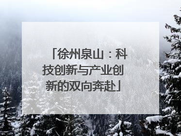 徐州泉山：科技创新与产业创新的双向奔赴