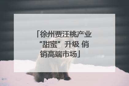 徐州贾汪桃产业“甜蜜”升级 俏销高端市场