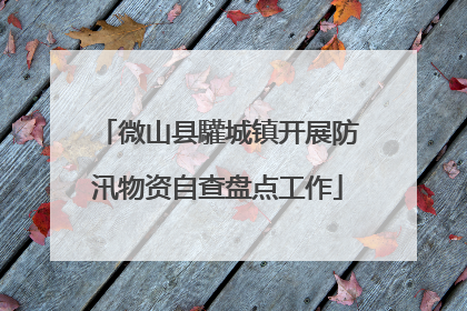 微山县驩城镇开展防汛物资自查盘点工作