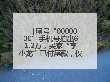 尾号“0000000”手机号拍出61.2万，买家“李小龙”已付尾款，仅享有使用权