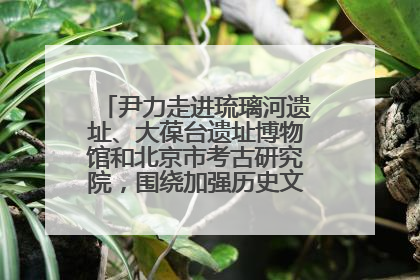 尹力走进琉璃河遗址、大葆台遗址博物馆和北京市考古研究院，围绕加强历史文化名城保护调研