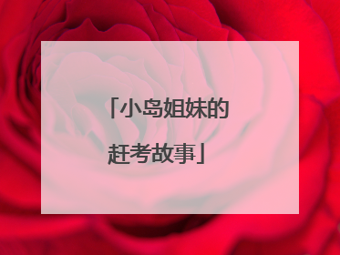 小岛姐妹的赶考故事