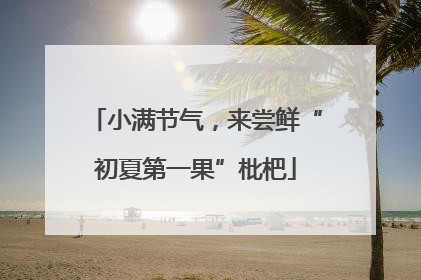 小满节气，来尝鲜“初夏第一果”枇杷