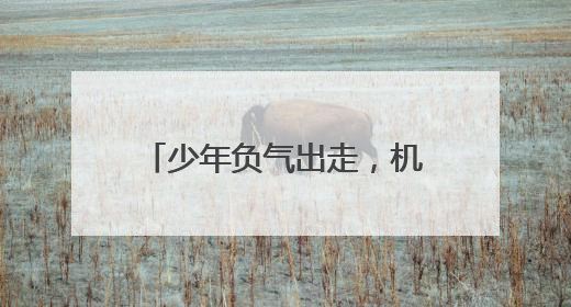 少年负气出走，机场民警暖心劝说