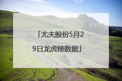 尤夫股份5月29日龙虎榜数据