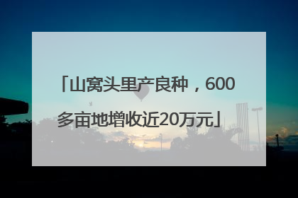 山窝头里产良种，600多亩地增收近20万元