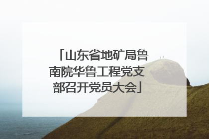 山东省地矿局鲁南院华鲁工程党支部召开党员大会